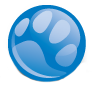 Blue Pearl specialty and emergency medicine for pets